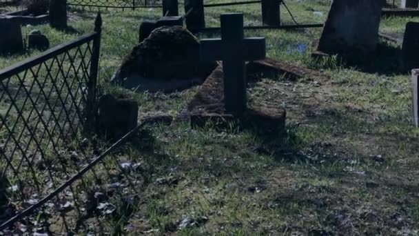 Walking in the old cemetery — Stock Video