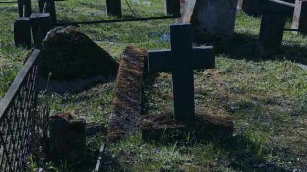 Прогулка по старому кладбищу — стоковое видео