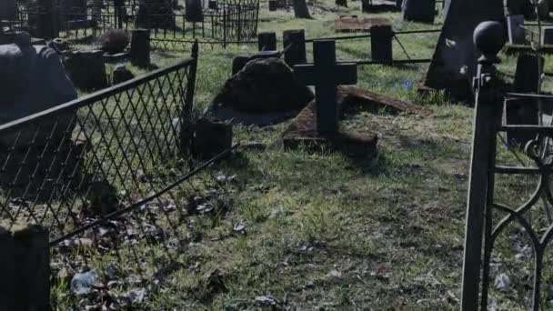 Chodzenie na starym cmentarzu — Wideo stockowe