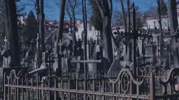 Promenade dans le vieux cimetière — Video