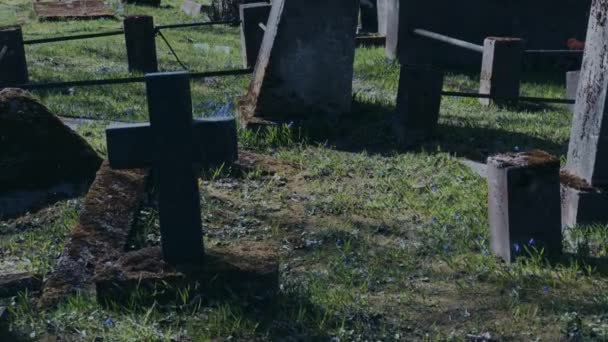 Passeggiando nel vecchio cimitero — Video Stock