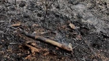 Külleri orman yangını sonra duman