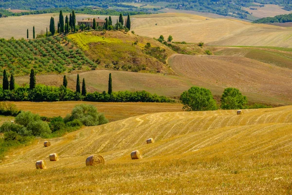 Paisaje rural de verano aéreo de Toscana — Foto de Stock