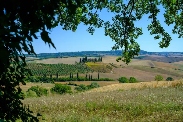 Paisaje rural de verano aéreo de Toscana —  Fotos de Stock