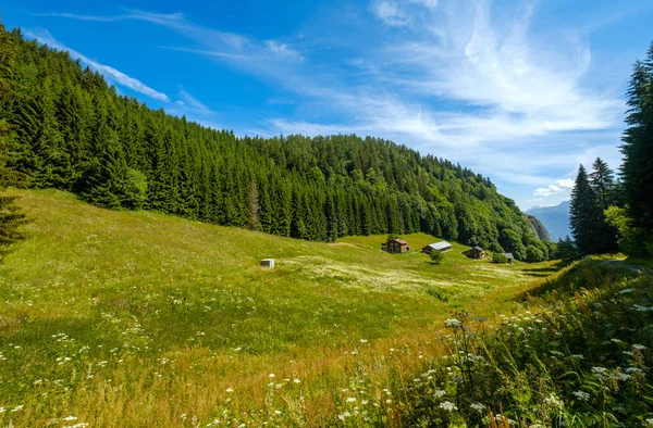 Summer krajobraz górski dom w Szwajcarii — Zdjęcie stockowe