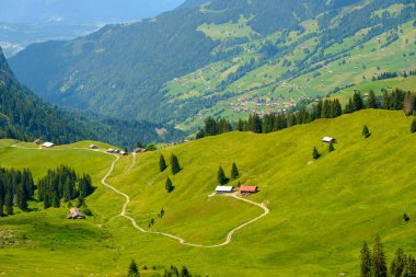 İsviçre 'de yaz zamanı kırsal panoramik manzara