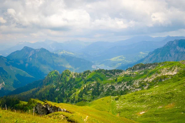 Типичный летний пейзаж Швейцарии — стоковое фото