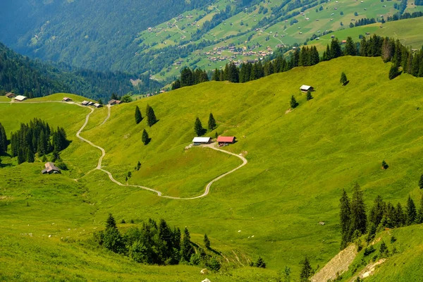 夏季瑞士乡村全景景观 — 图库照片