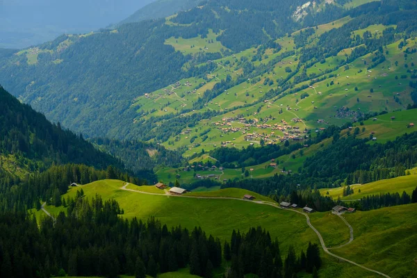 Summer time countryside panoramic landscape in Switzerland — Stock Photo, Image
