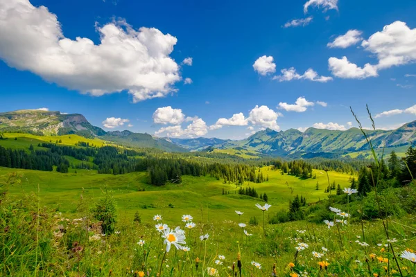 Heure d'été paysage panoramique de montagne en Suisse — Photo