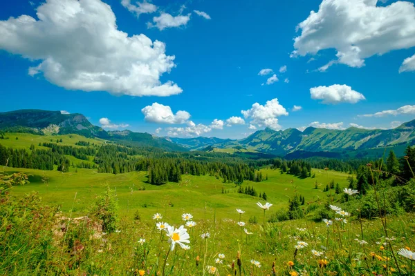 Hora de verão paisagem panorâmica da montanha na Suíça — Fotografia de Stock