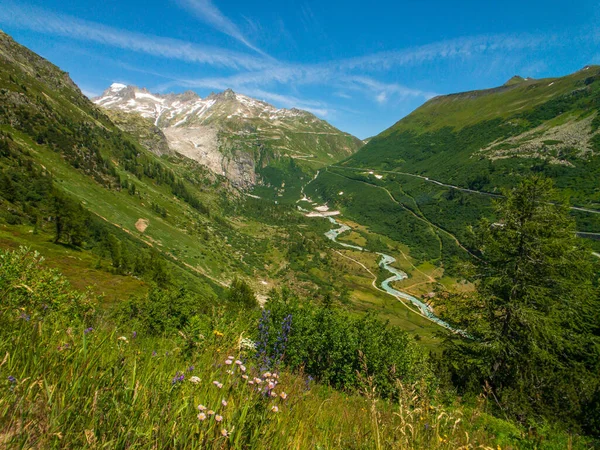瑞士山自然的夏天风景 — 图库照片