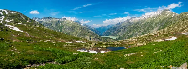 グリムゼル峠付近のスイス連邦共和国の自然の夏風景 — ストック写真