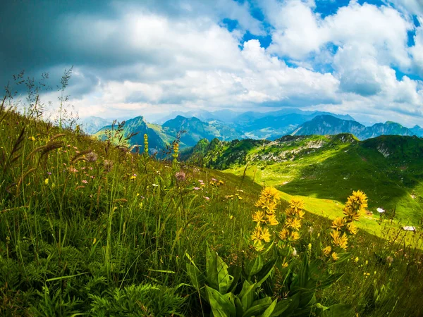 Zomer landschap van Zwitserland natuur op de Rochers-de-Naye — Stockfoto