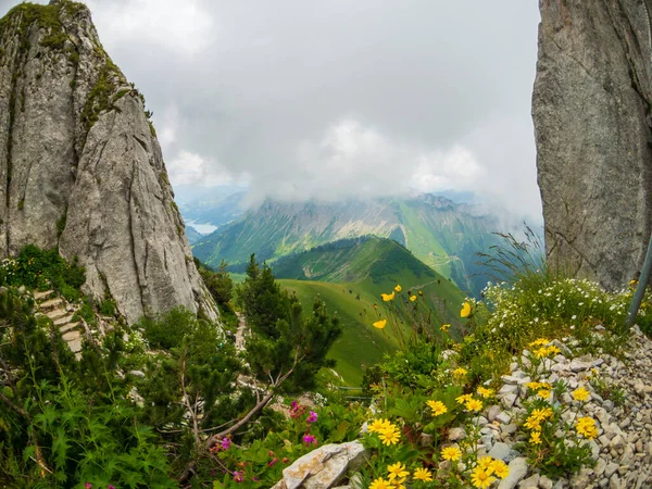 瑞士自然的夏天风景在 Rochers-de Naye — 图库照片