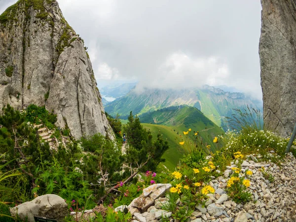 Літній краєвид Швейцарії природи в Роше де Naye — стокове фото