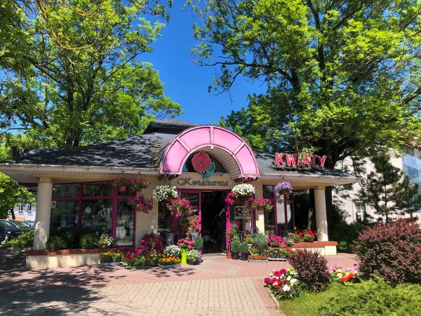 Street negozio di fiori esterno a tempo di sole giorno — Foto Stock