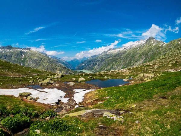 Paysage estival de la Suisse nature près du col du Grimsel — Photo