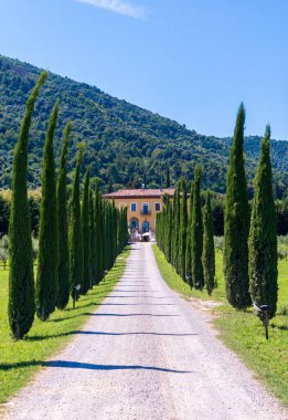 Selvi dolu villaya giden yol.