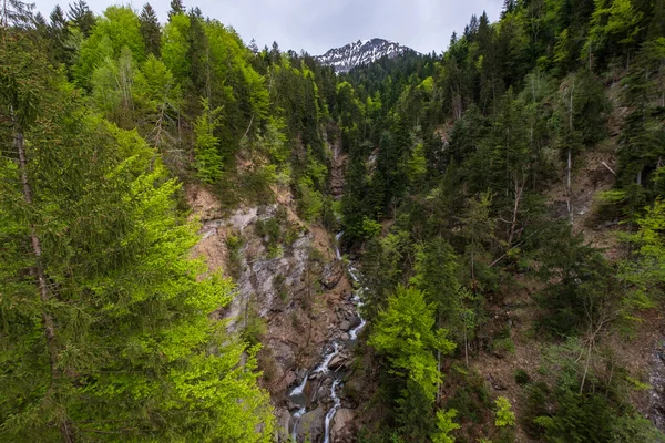 Cachoeira na floresta no verão — Fotografia de Stock