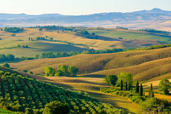 Paisaje aéreo de finales de verano del valle en Toscana —  Fotos de Stock