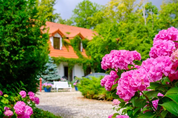 カントリーハウス風景アジサイの花 — ストック写真
