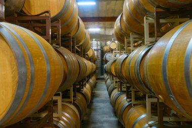 Modern şaraphanede şarap fıçıları