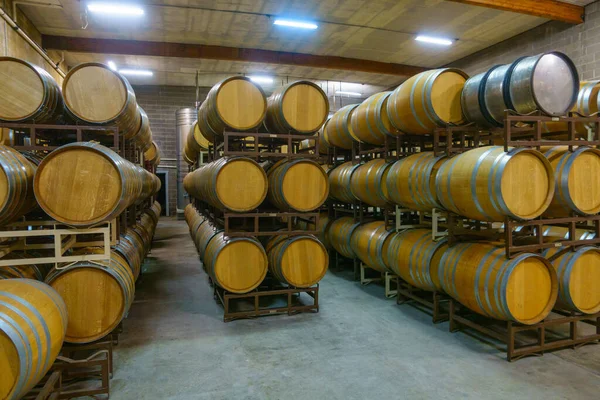 Barris de vinho na adega moderna — Fotografia de Stock