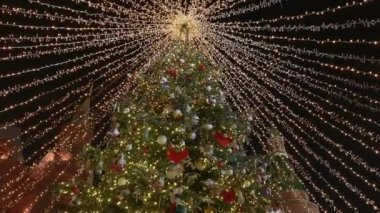 Tall christmas tree decorated and illuminated outdoors