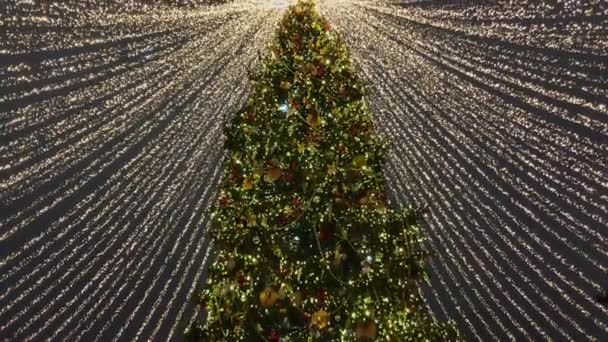Высокая елка украшена и освещена на открытом воздухе — стоковое видео