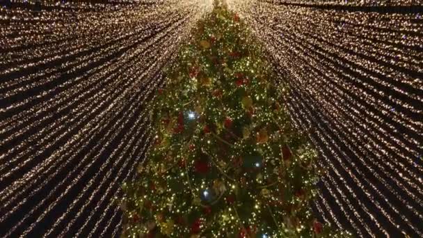 Tall christmas tree decorated and illuminated outdoors — Stockvideo