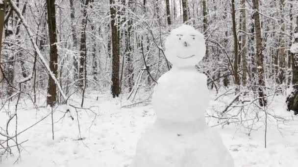 Boneco de neve na floresta de inverno — Vídeo de Stock