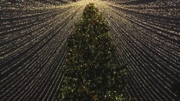 İnsanlar akşamları Noel için aydınlatmalarla süslenmiş şekilde sokaklarda yürür. — Stok video