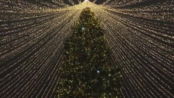 Mensen lopen de straten versierd met verlichting voor Kerstmis 's avonds — Stockvideo