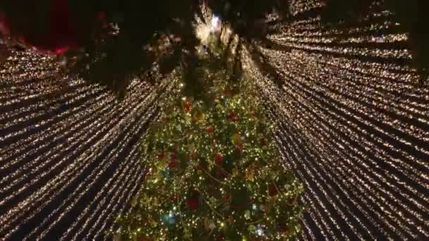 Висока різдвяна ялинка прикрашена та освітлена на відкритому повітрі — стокове відео