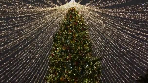 La gente camina por las calles decoradas con iluminación para Navidad por la noche — Vídeos de Stock