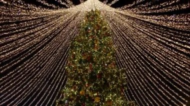 Tall christmas tree decorated and illuminated outdoors