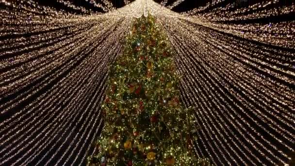 Tall christmas tree decorated and illuminated outdoors — Stock video