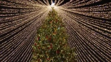 Tall christmas tree decorated and illuminated outdoors