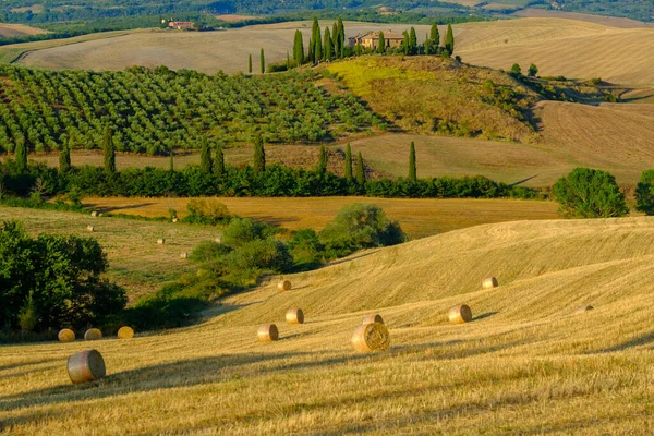 Paisaje aéreo de finales de verano del valle en Toscana — Foto de Stock