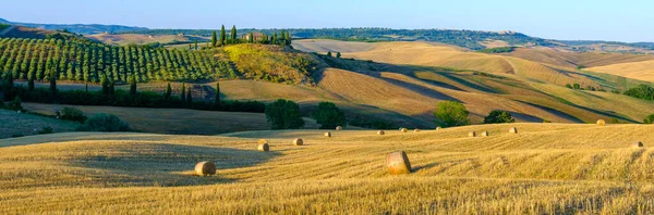 Paysage aérien d'été tardif de la vallée en Toscane — Photo