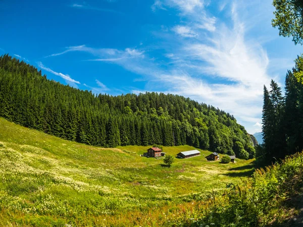 Sommer-Berglandschaft des Hauses in der Schweiz — Stockfoto