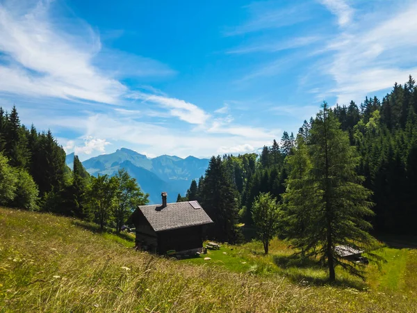 Letní horská krajina domu v Švýcarsko — Stock fotografie