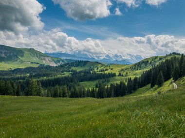 Tipik yaz dağlar İsviçre manzara