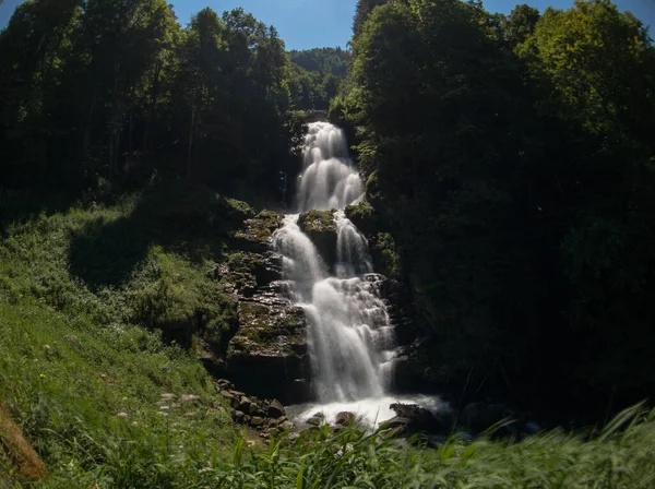 Waterval in het bos in de zomer — Stockfoto