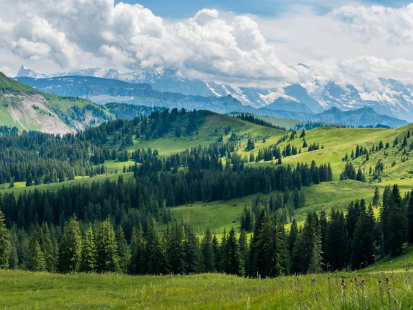 典型的な夏の山スイス風景します。 — ストック写真