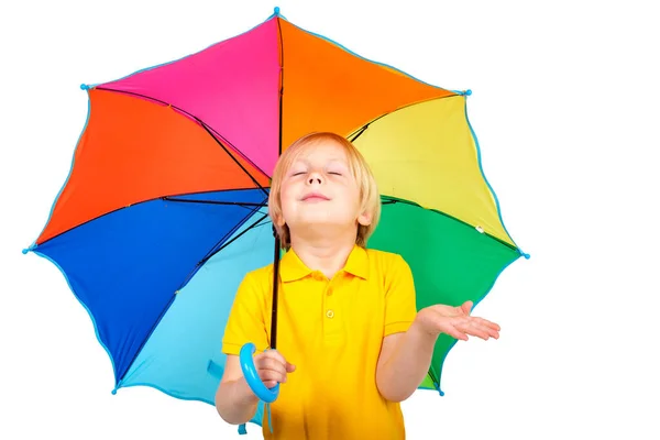 Portrait of boy with multi color umbrella looking up — Stock Photo, Image