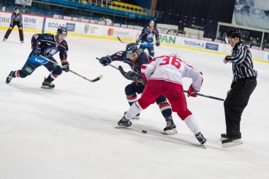 Almanya Bundesliga Ligi 2016/2017-Medvescak Zagreb Vs Vityaz Podolsk