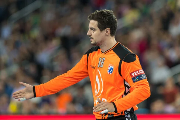 EHF Pánské Champions League 2016-17, fáze skupina (B). HC Zagreb Ppd Vs Hc Zagreb Ppd Vs Hc Celje podniku Pivovarna Laško — Stock fotografie