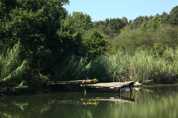 Old Dock Pond Sunny Summer Day — Stock Photo, Image